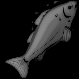Figure traditionnelle — Poisson austral
