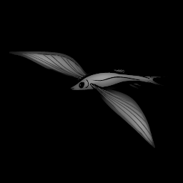 Figure traditionnelle — Poisson volant