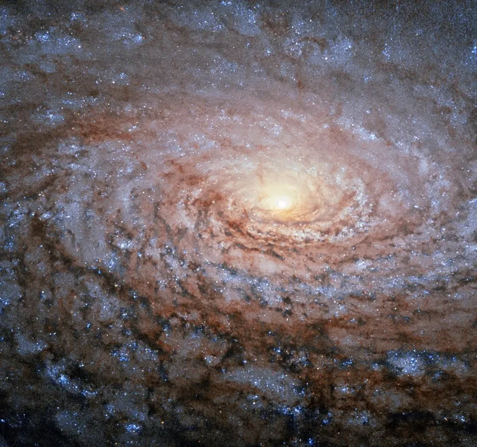 Galaxie du Tournesol