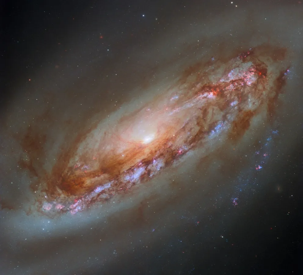 NGC 4569