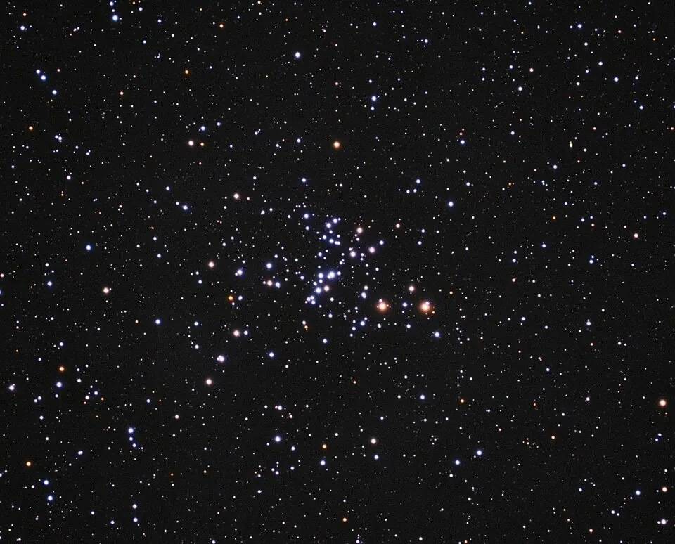 NGC 2447