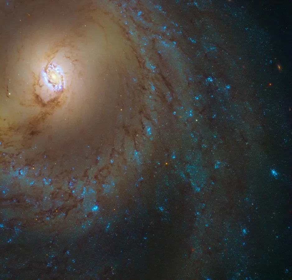 NGC 3351